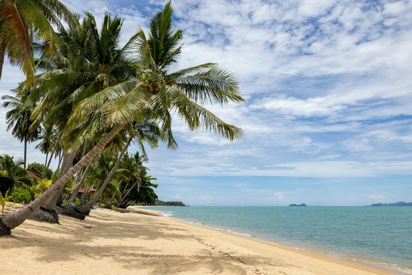 5 stratégies efficaces pour réussir vos conférences à annecy