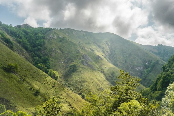 Croisières discount pour les célibataires : bonne idée?
