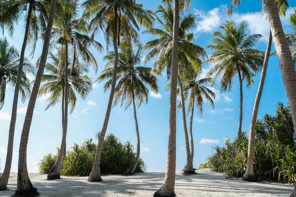 Glamping : le camping de luxe écologique