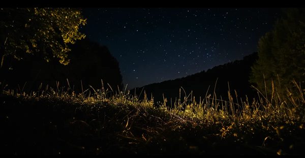 Nuit insolite en france : idées uniques pour une escapade mémorable