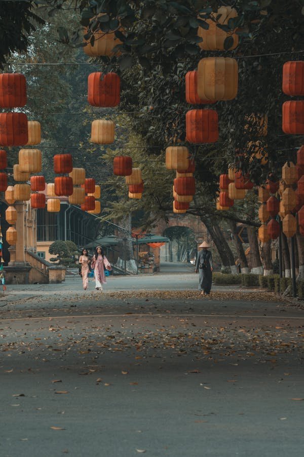 Agence de voyage parfum d'automne : explorez le vietnam authentique