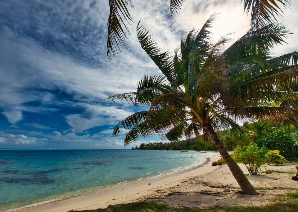 île de Bora Bora - PLage de sable blanc avec des cocotiers