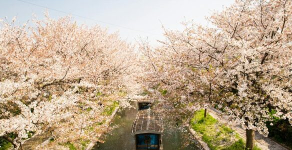 Les transports au Japon : Un voyage Entre Terre et Mer